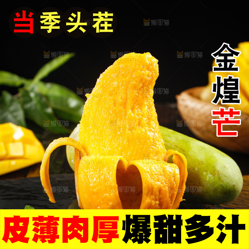 浅底上的绿皮金煌芒
