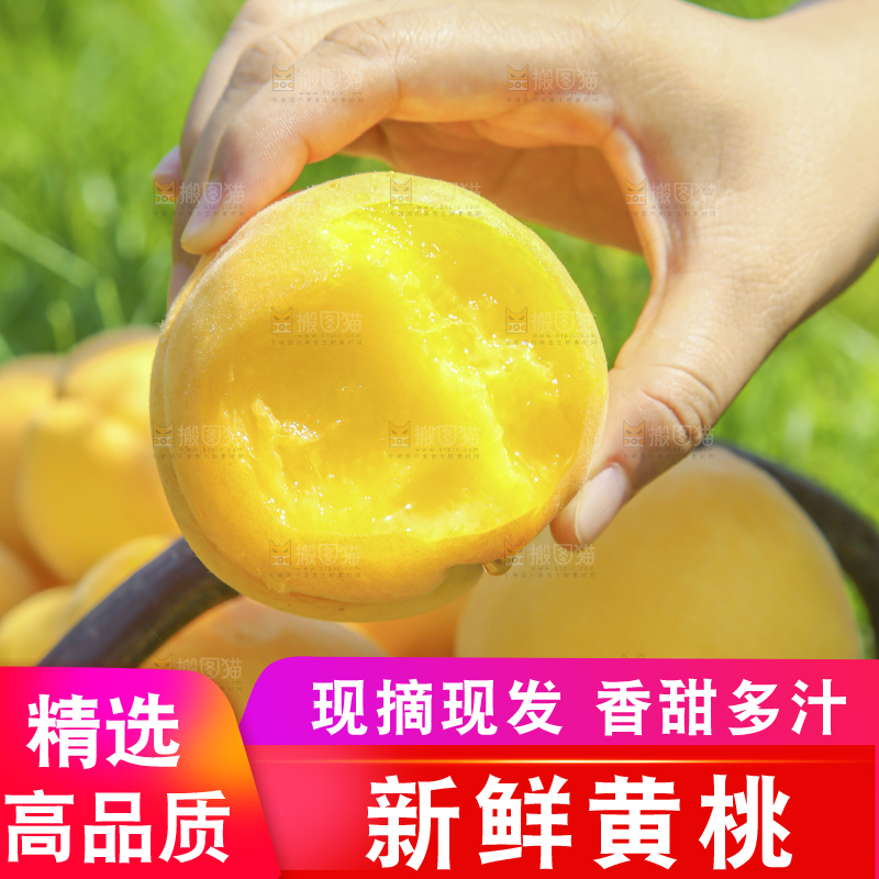 手里拿着黄毛桃