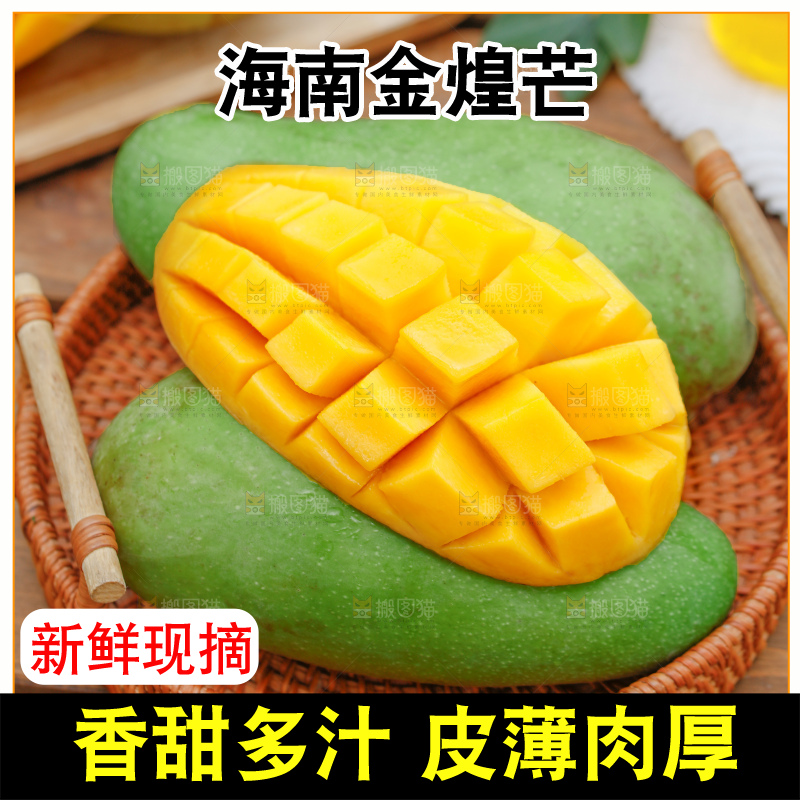 浅底上的绿皮金煌芒