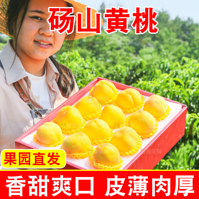 手里拿着黄毛桃