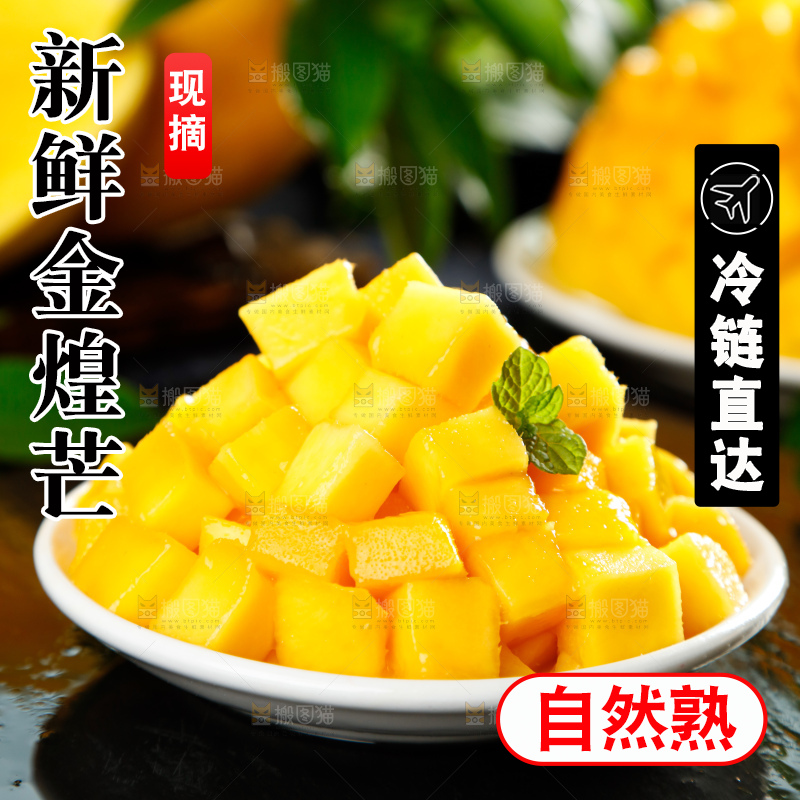 浅底上的绿皮金煌芒