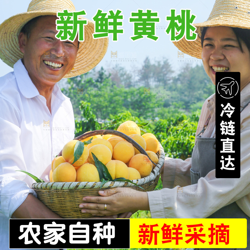 手里拿着黄毛桃