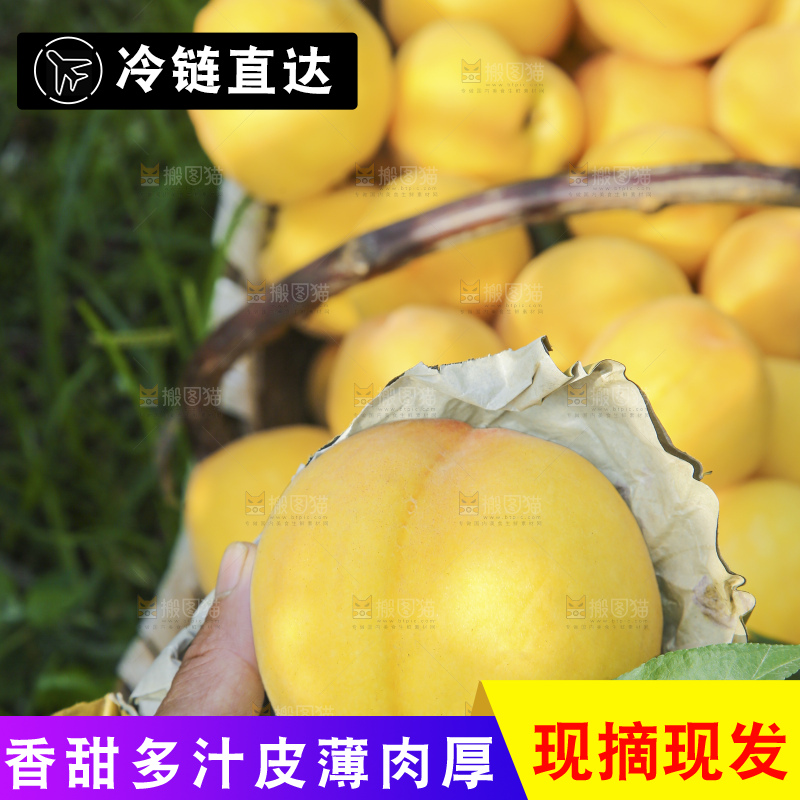 手里拿着黄毛桃