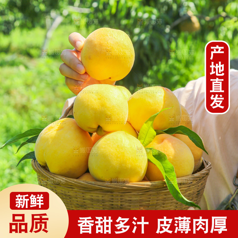 手里拿着黄毛桃