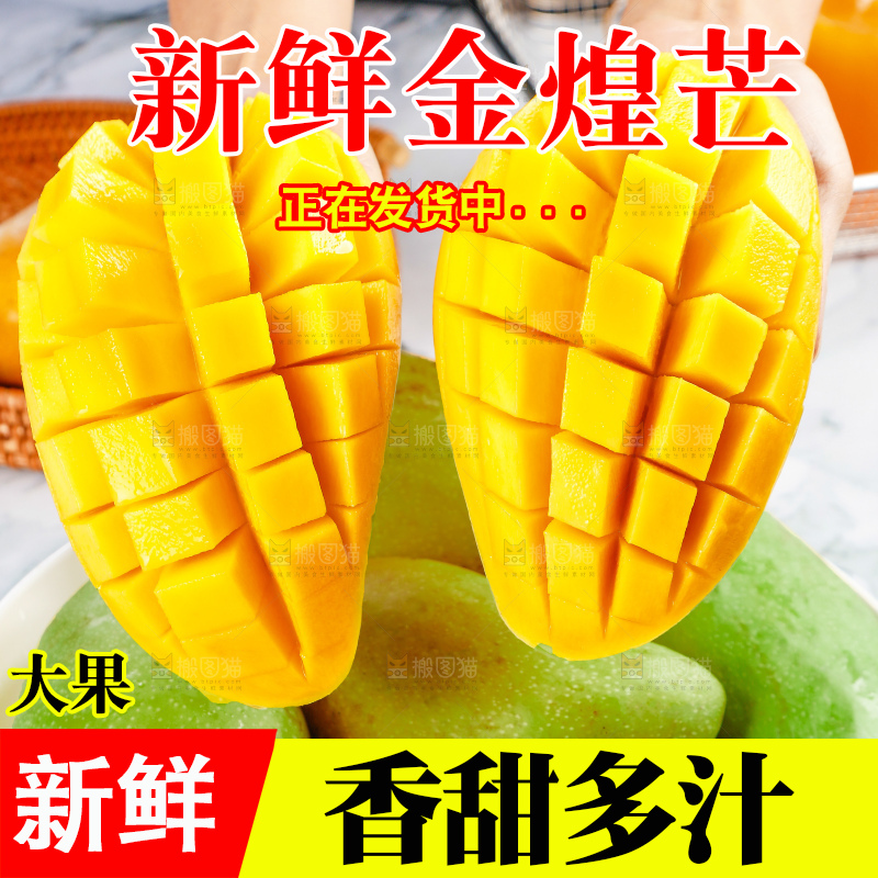 浅底上的绿皮金煌芒