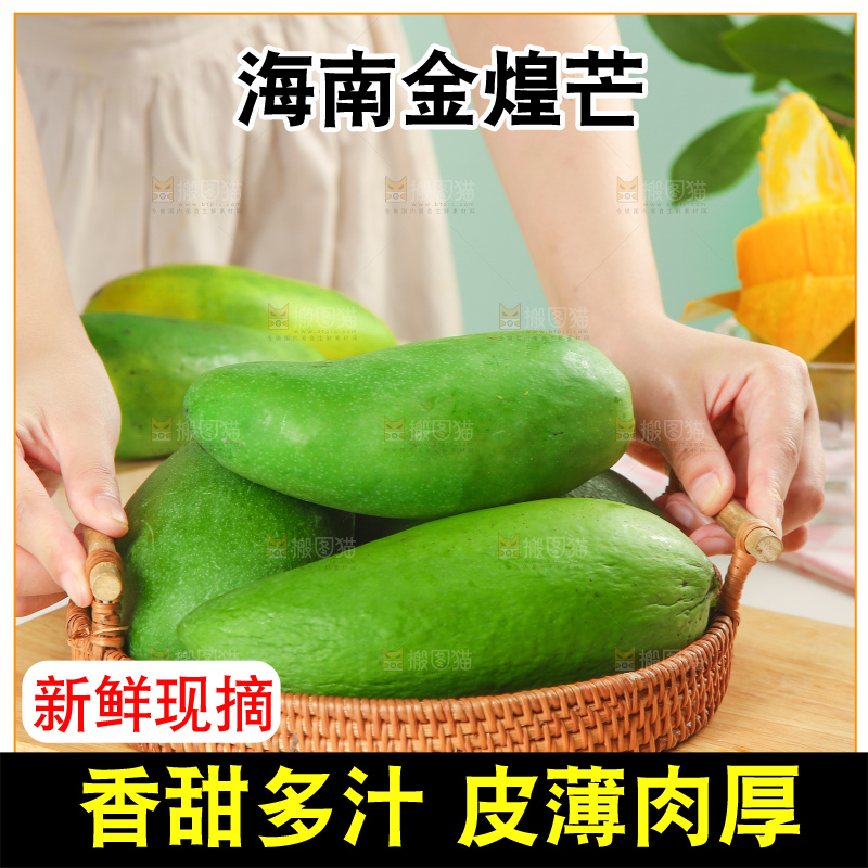 浅底上的绿皮金煌芒