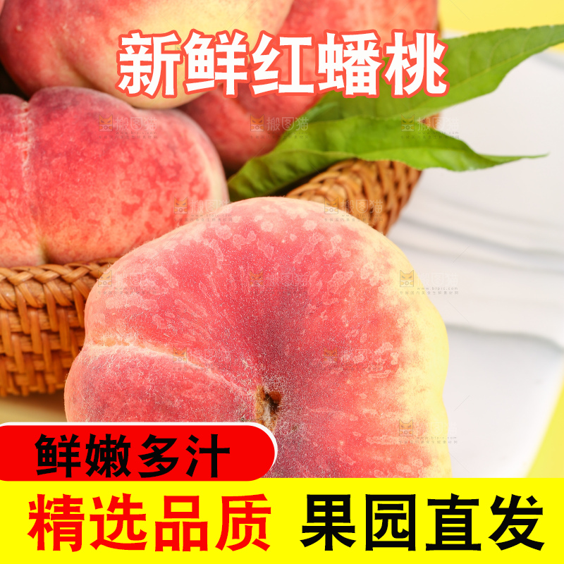 浅底上的毛蟠桃