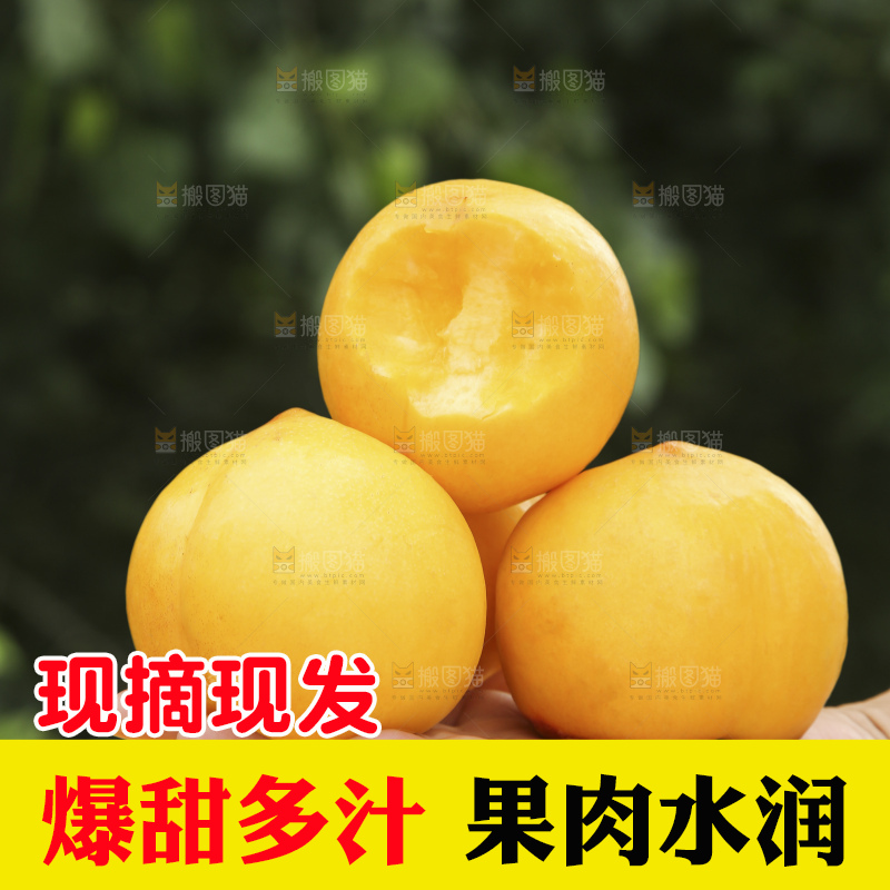 手里拿着黄油桃