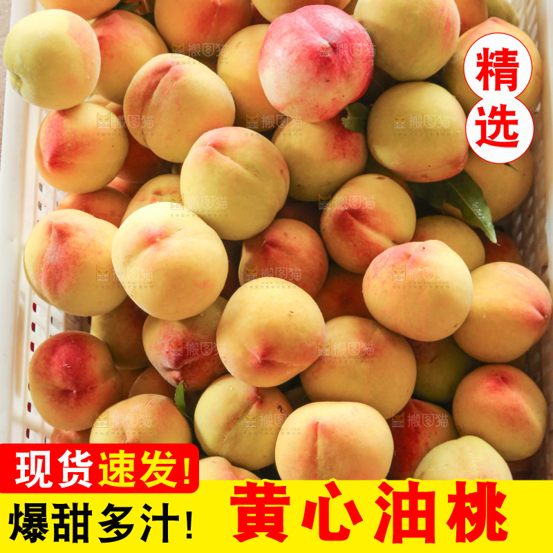 新鲜现摘的油桃