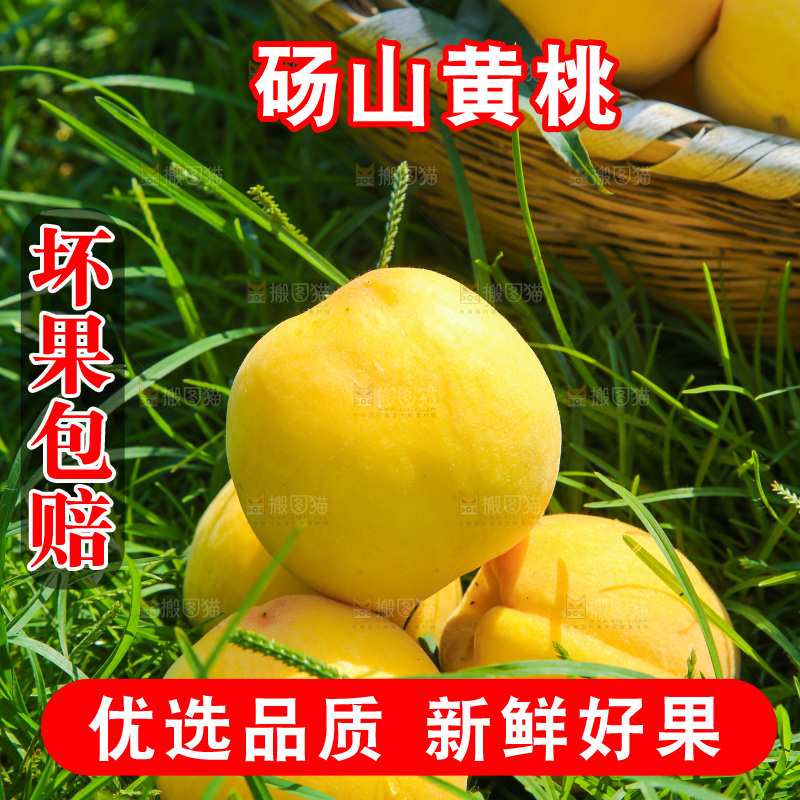 手里拿着黄毛桃