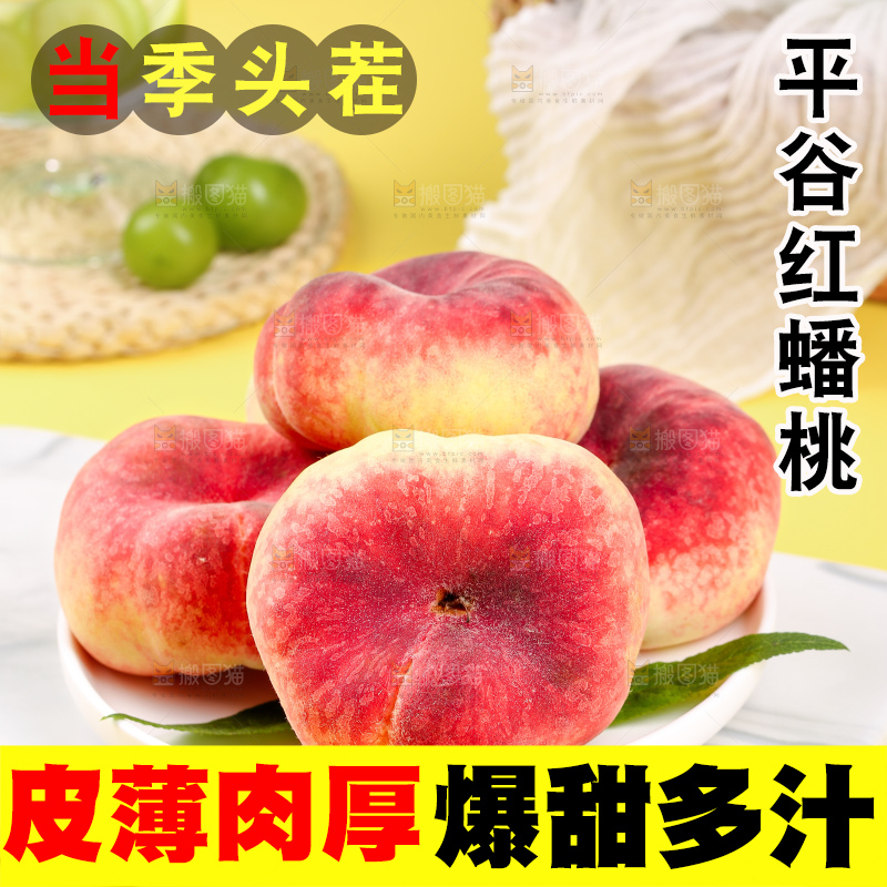 浅底上的毛蟠桃