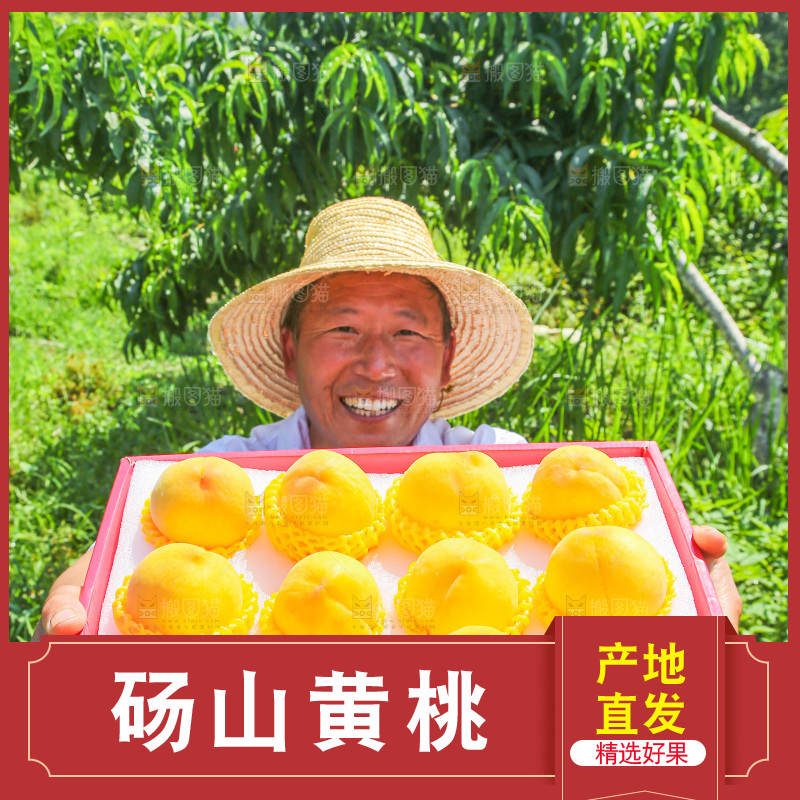 手里拿着黄毛桃