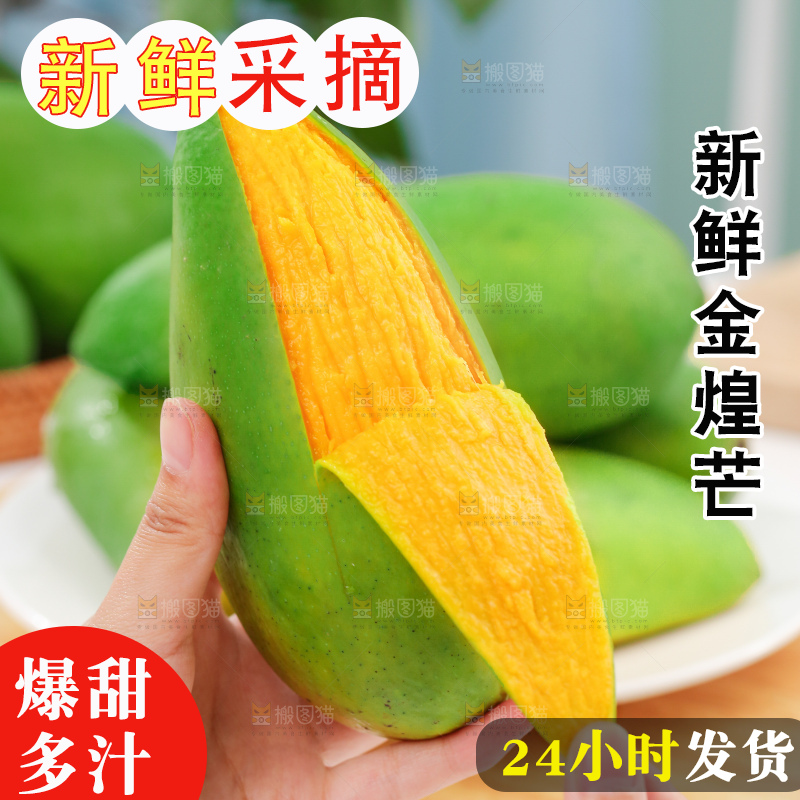 浅底上的绿皮金煌芒