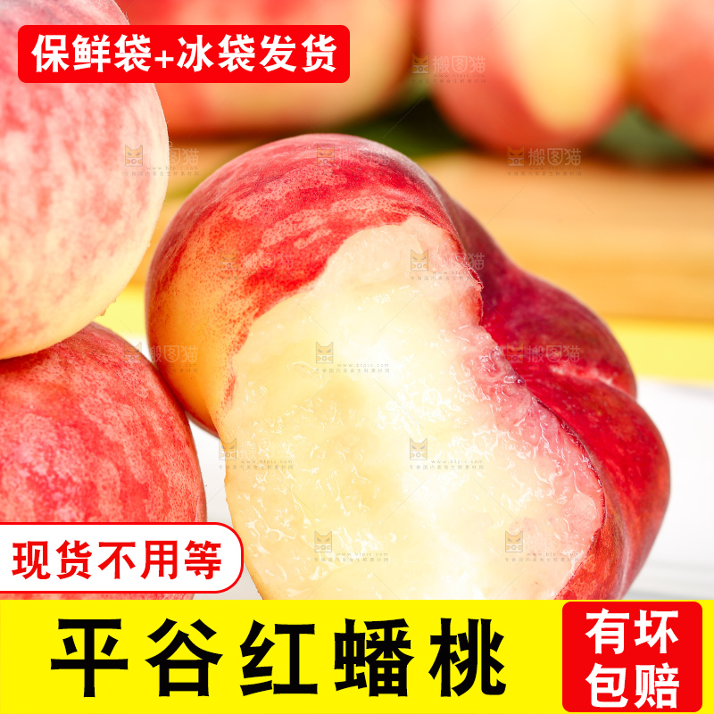 浅底上的毛蟠桃