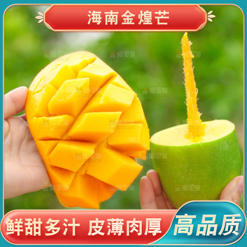 浅底上的绿皮金煌芒