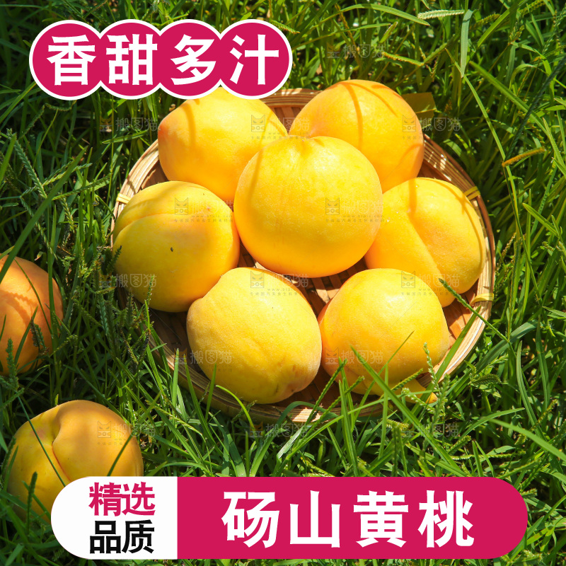 手里拿着黄毛桃