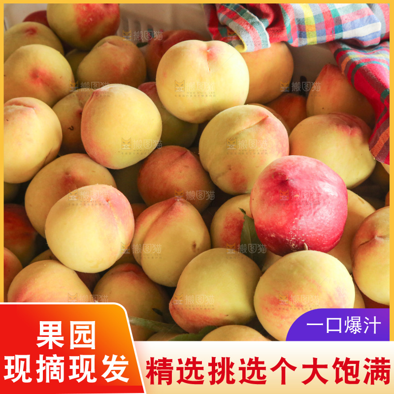 新鲜现摘的油桃