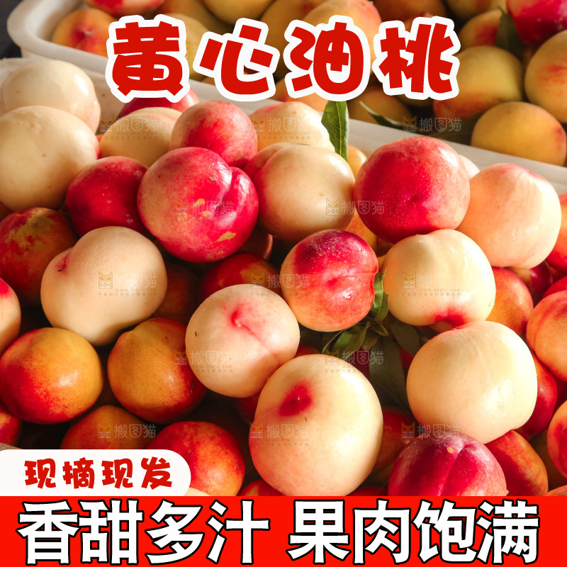 新鲜现摘的油桃