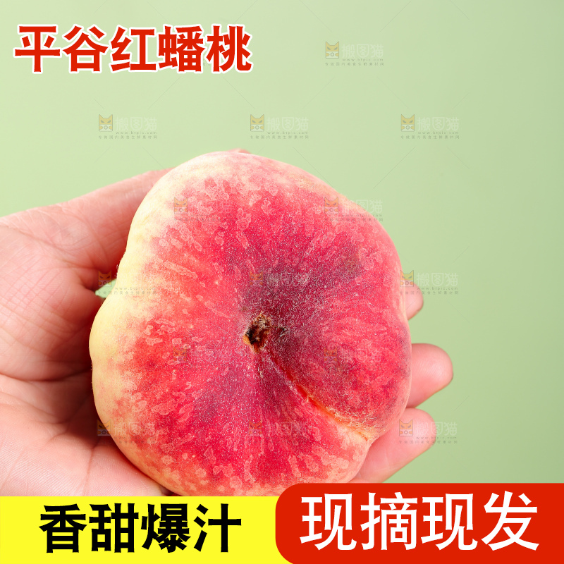 浅底上的毛蟠桃
