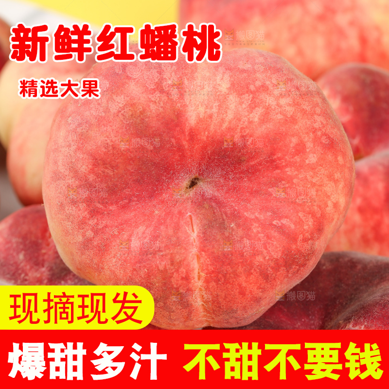 浅底上的毛蟠桃
