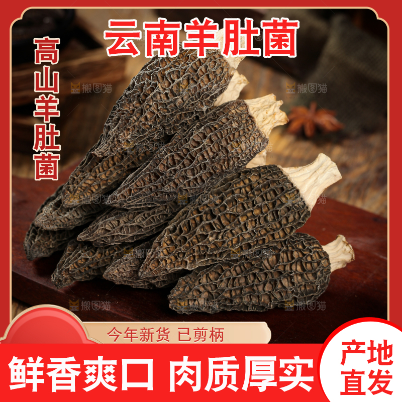 羊肚菌主图