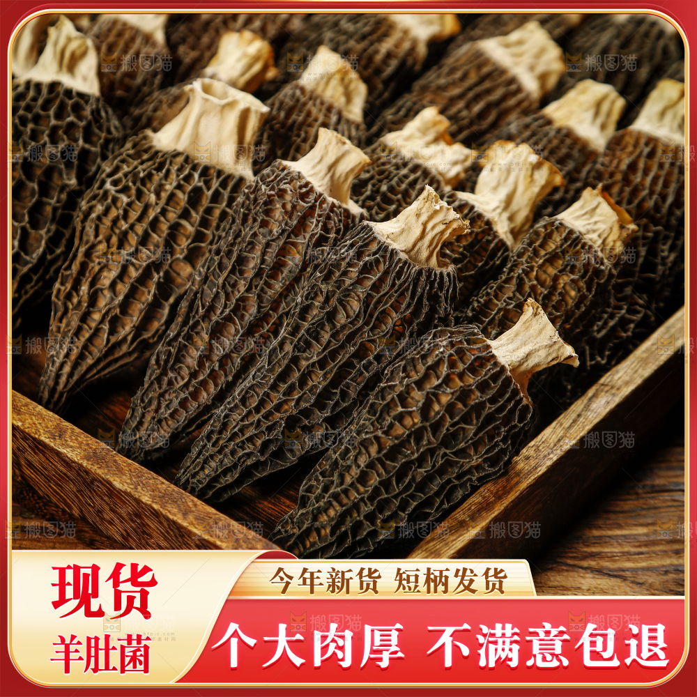 羊肚菌主图