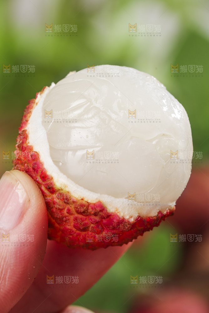 木底上的无核荔枝