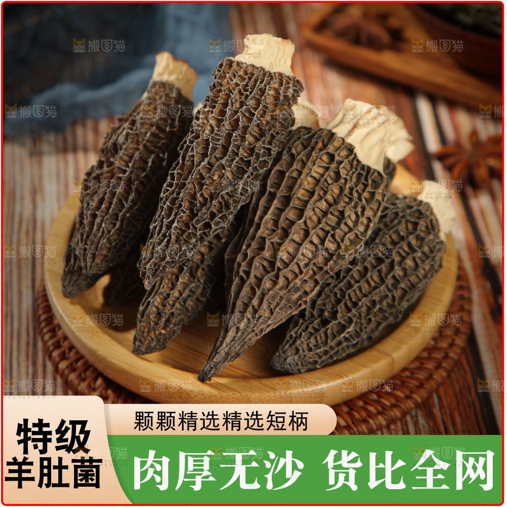 羊肚菌主图