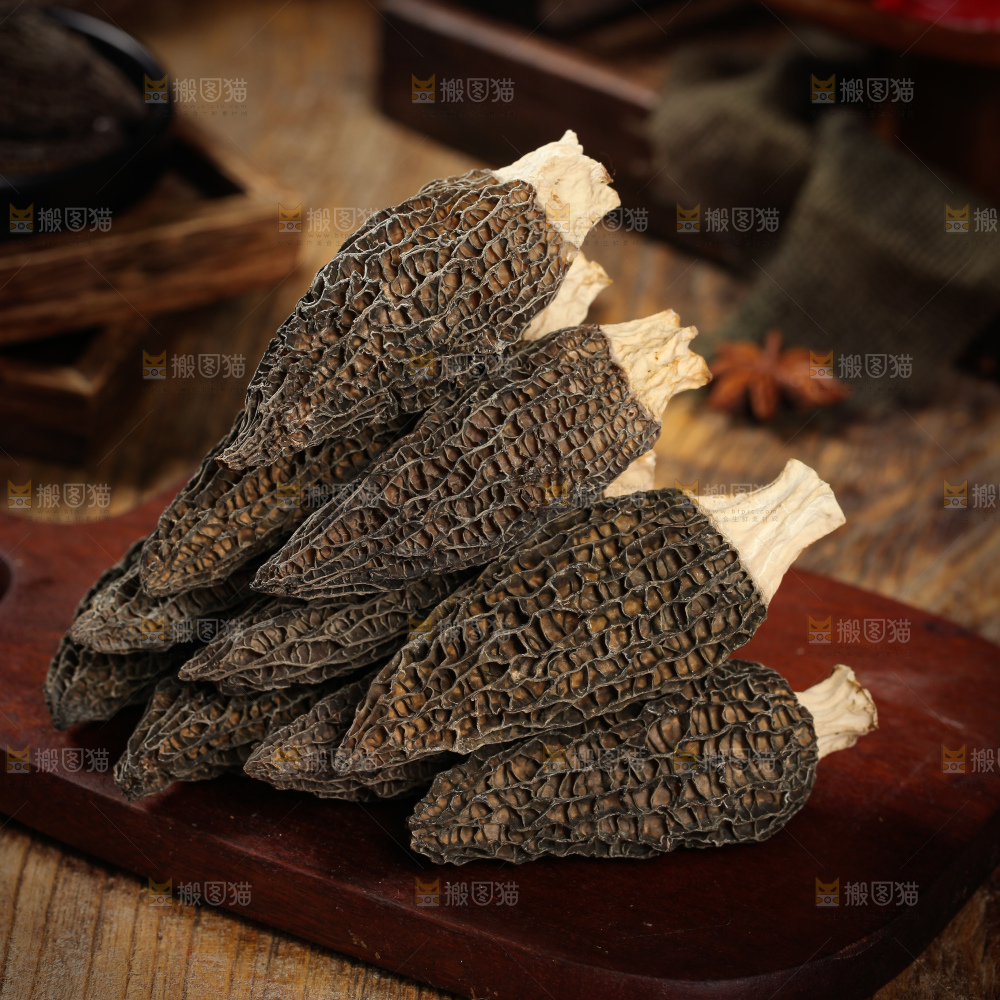 深底上的羊肚菌