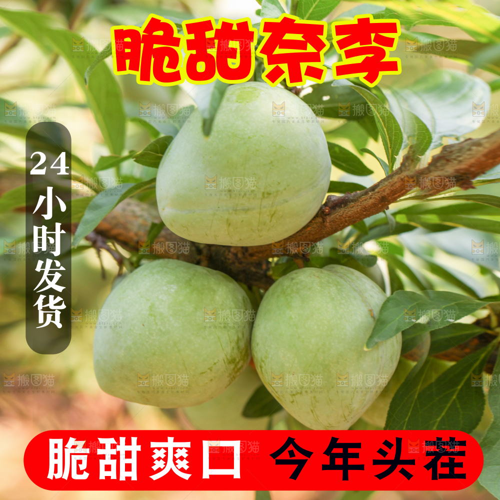 奈李主图
