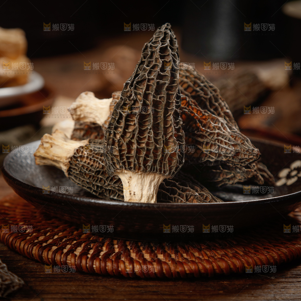 羊肚菌