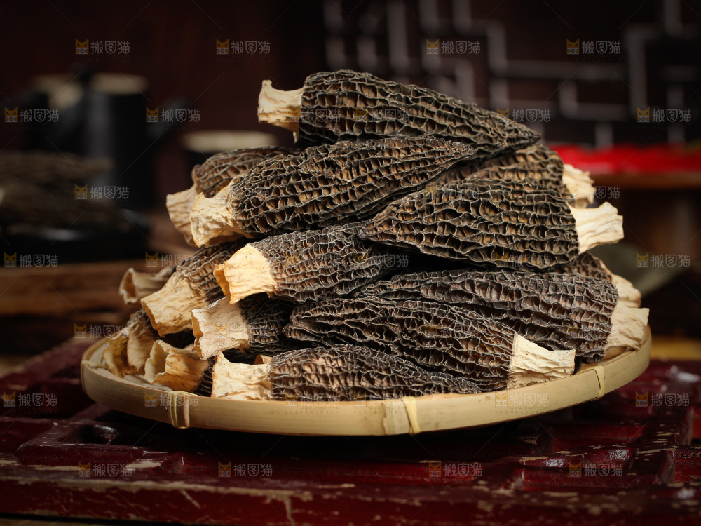 羊肚菌