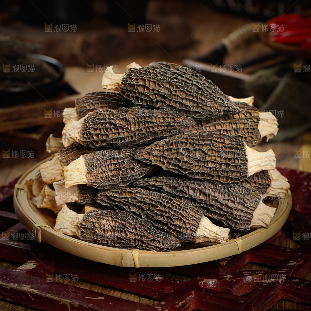 羊肚菌