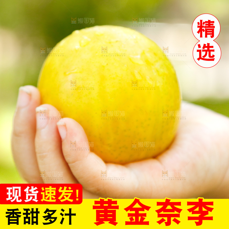深底上的黄金奈李