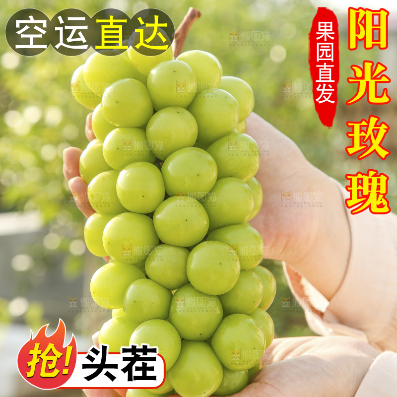手里拿着阳光玫瑰