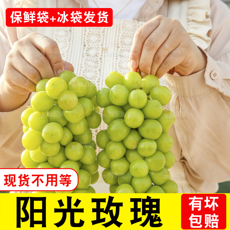 手里拿着阳光玫瑰
