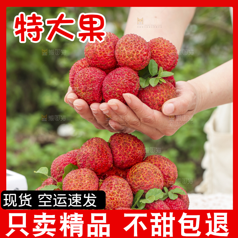 手里拿着无核荔枝