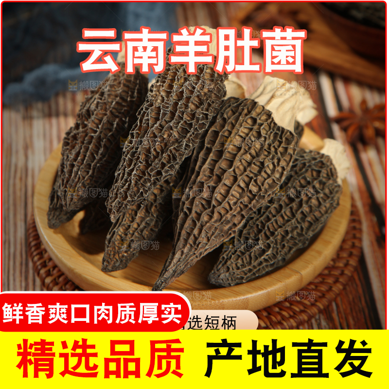 羊肚菌主图