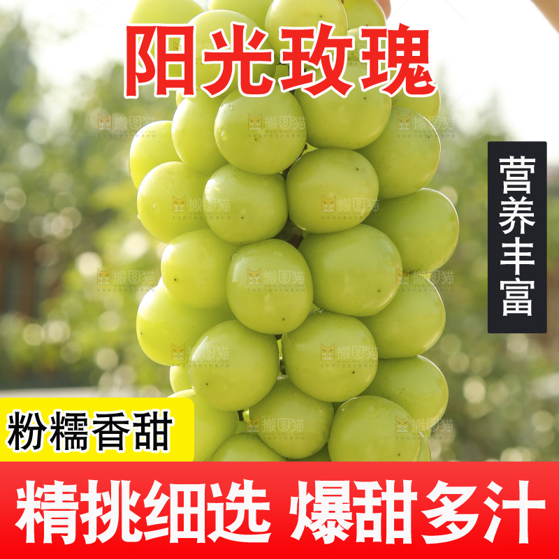 手里拿着阳光玫瑰