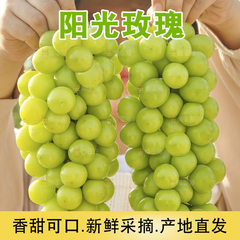 手里拿着阳光玫瑰