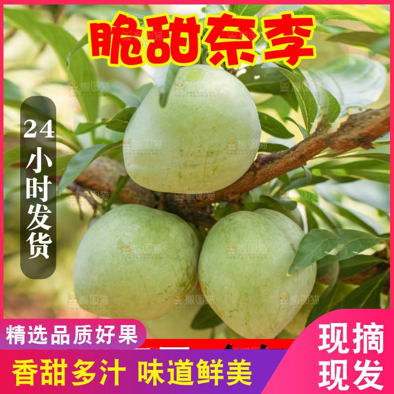 奈李主图