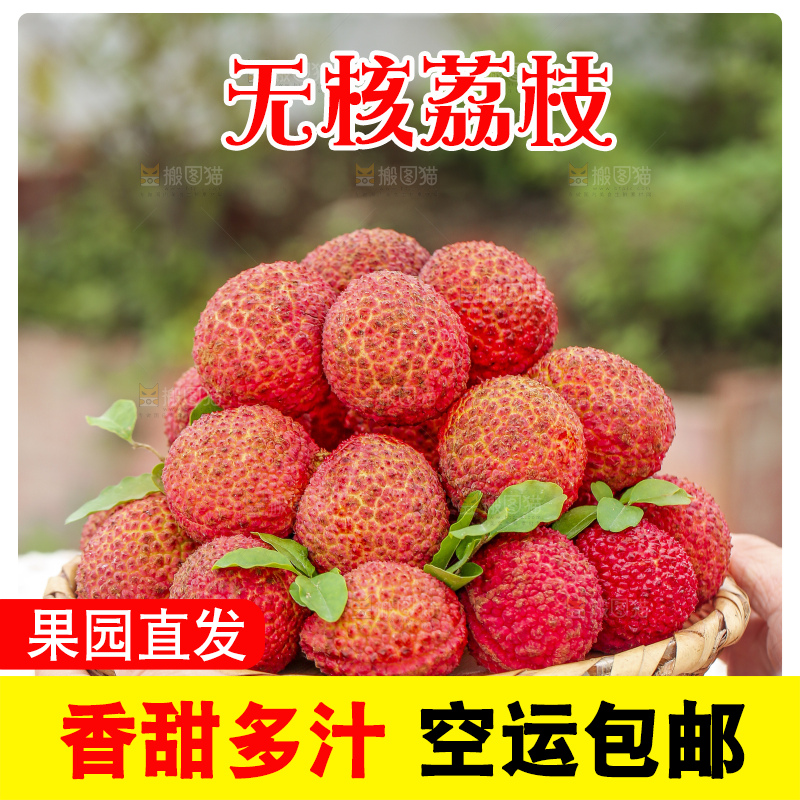 手里拿着无核荔枝