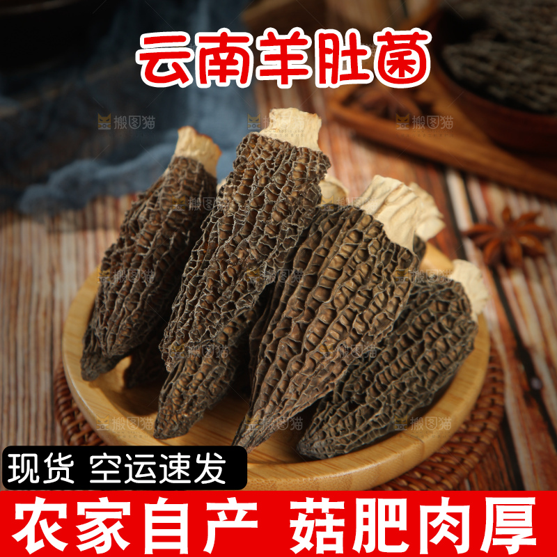 深底上的羊肚菌
