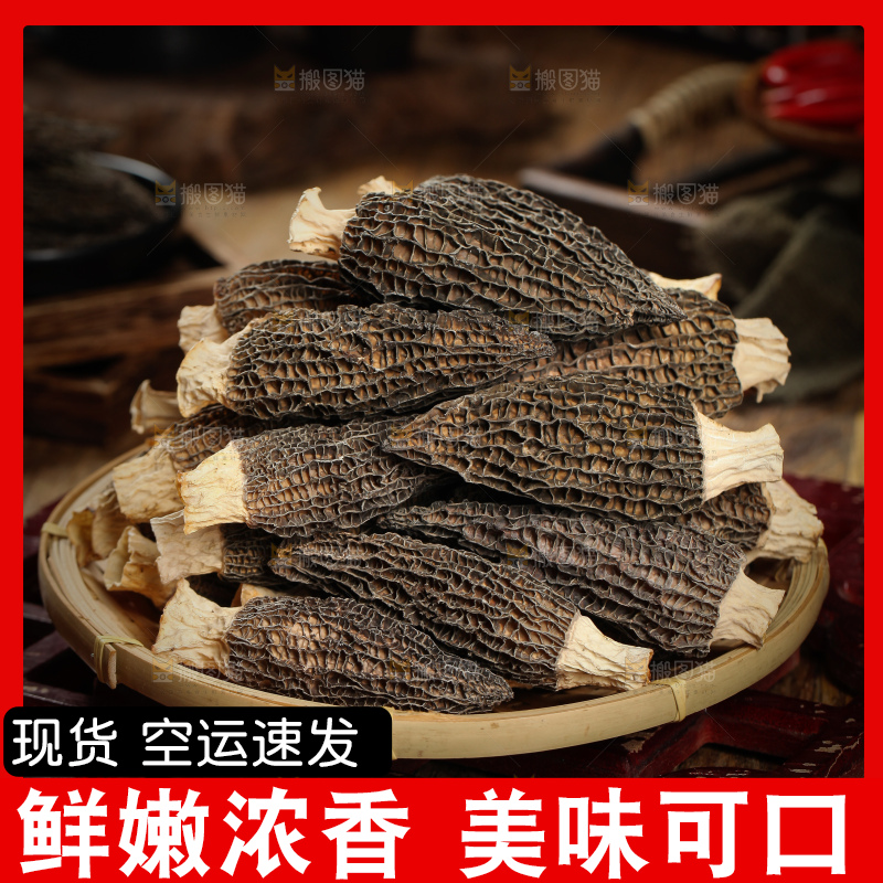 深底上的羊肚菌