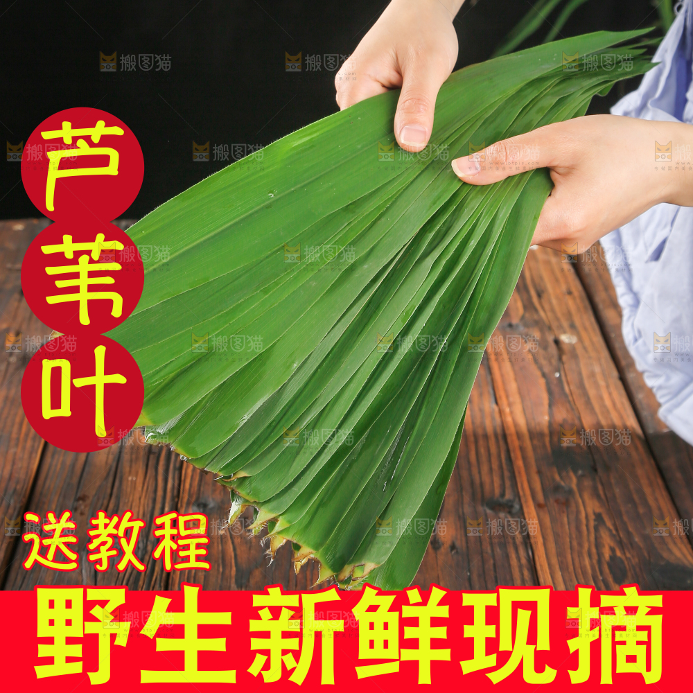 粽叶主图