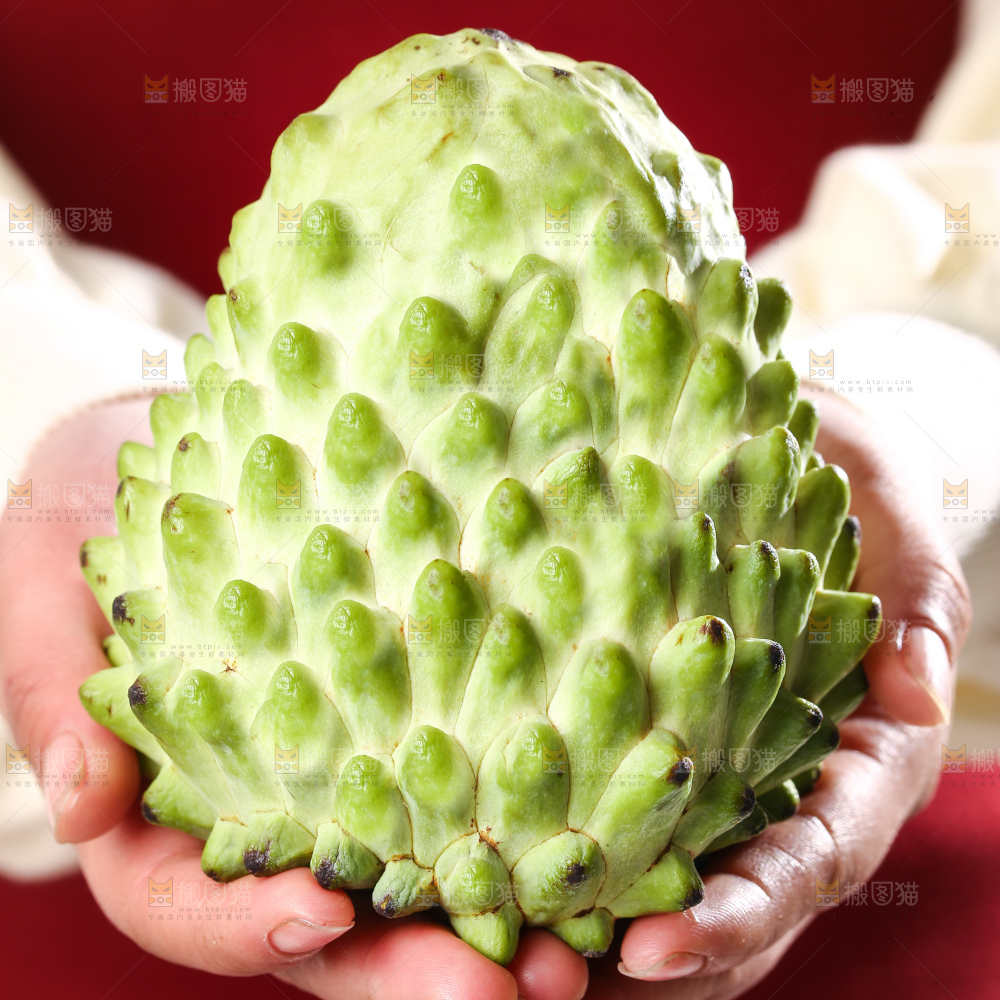 深底上的释迦果