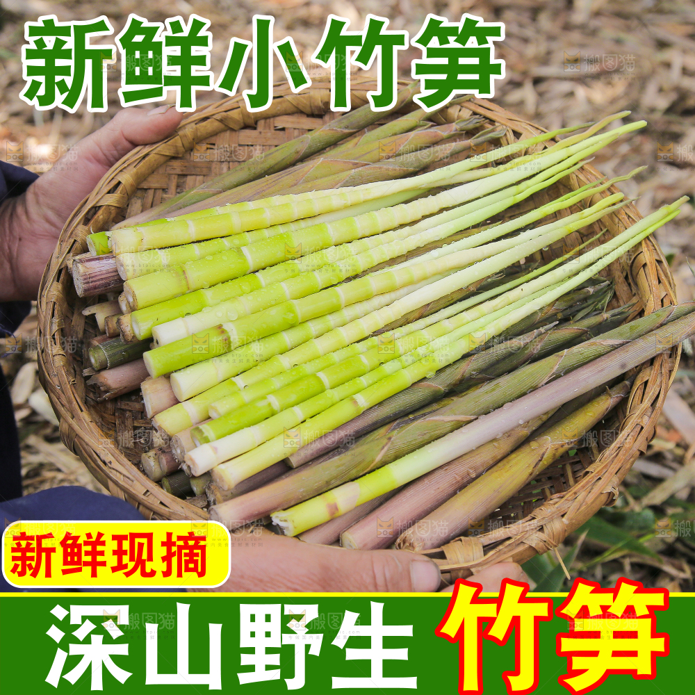 小竹笋主图