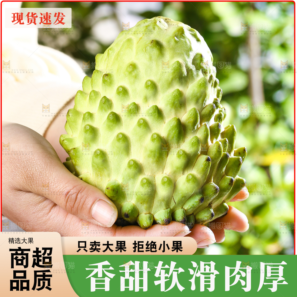 释迦果主图