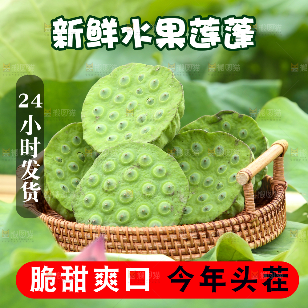 莲蓬主图