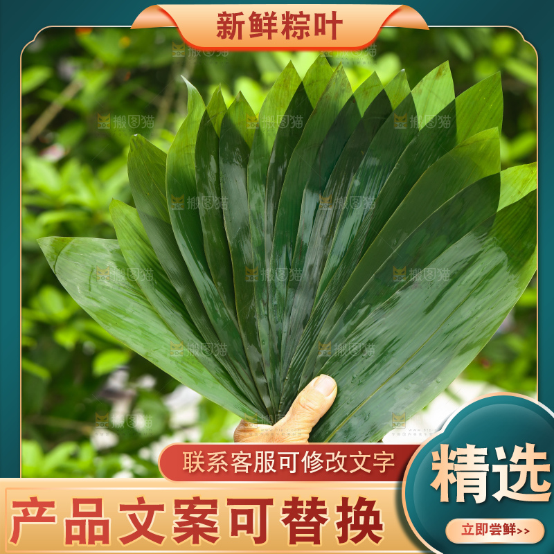 手里拿着新鲜粽叶